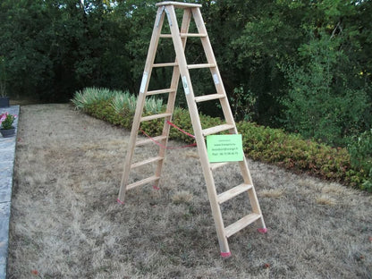 Escabeau bois RICHOMME – 7 marches