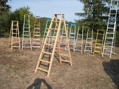 Escabeau bois RICHOMME – 7 marches