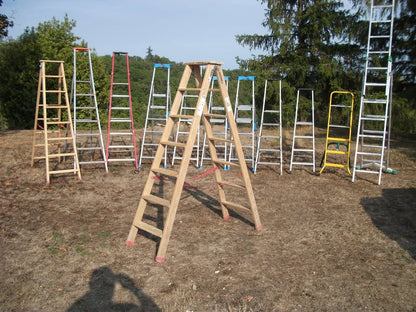 Escabeau bois 6 marches RICHOMME