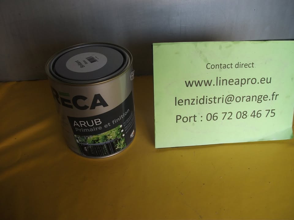 RECA ARUB Peinture laque antirouille blanc 0.5L